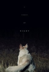 Оно приходит ночью (2017), фото 7